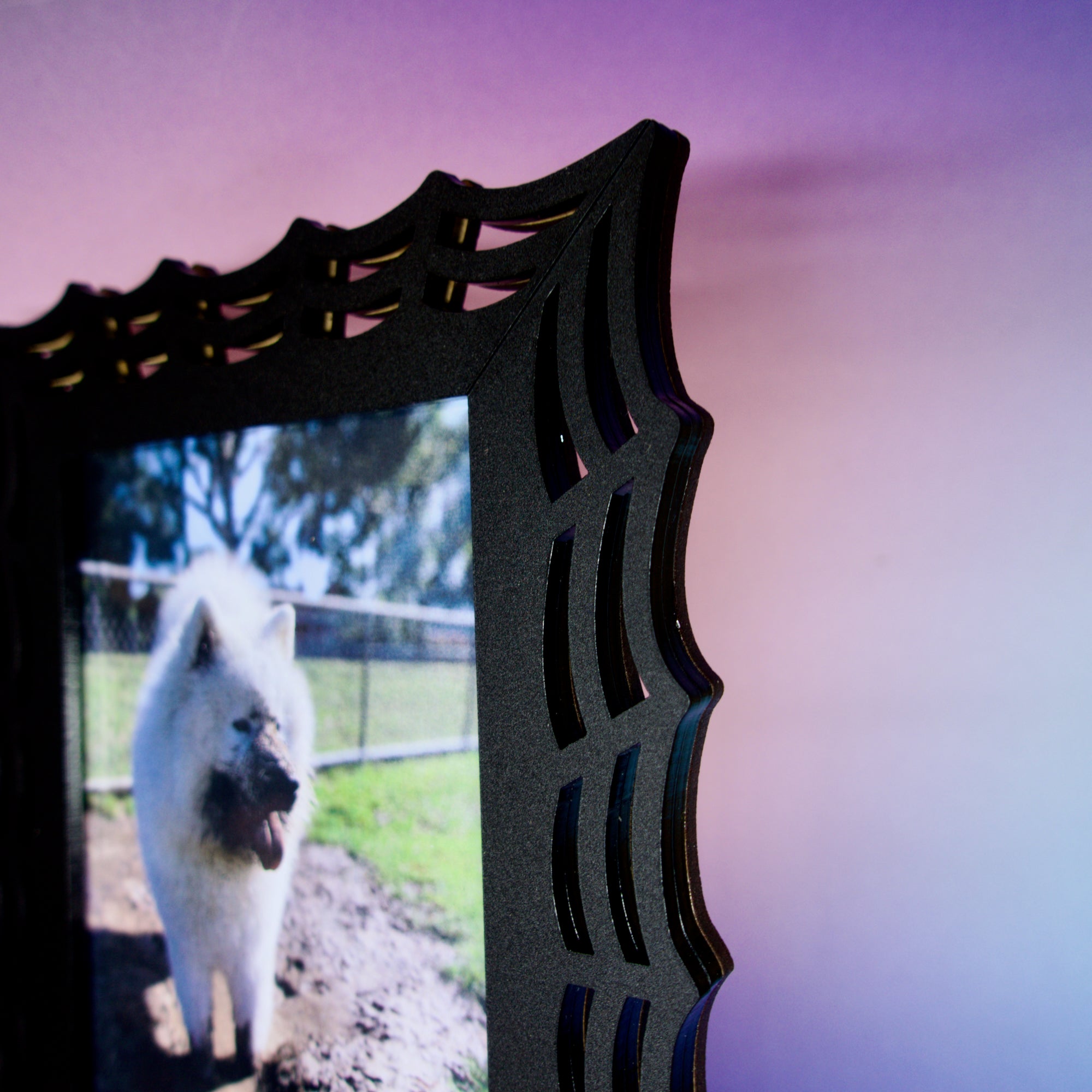 spooky spiderweb picture frame