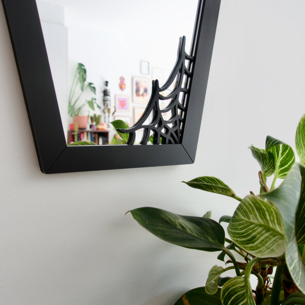 Goth Coffin Mirror with spiderweb details